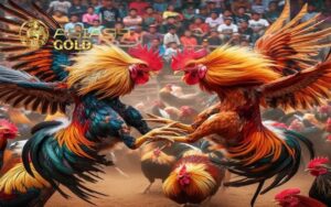 kinh nghiệm phục hồi gà sau đá