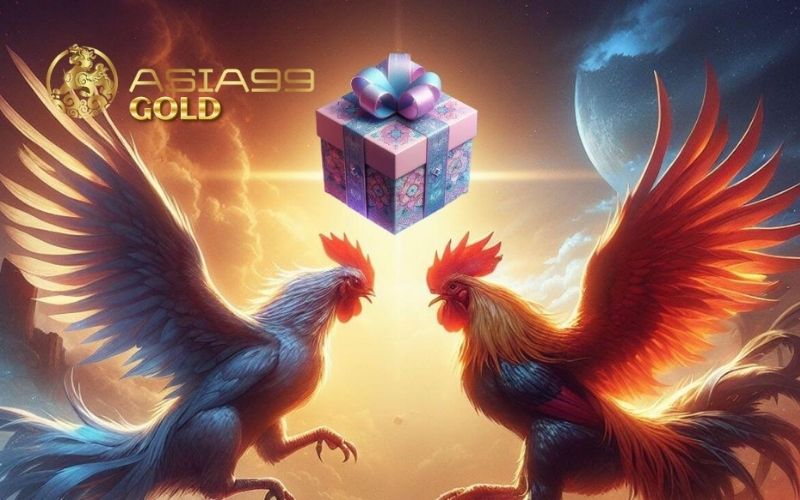 Kinh nghiệm phục hồi gà sau đá giúp gà nhanh khỏe lại 2 kinh nghiệm phục hồi gà sau đá